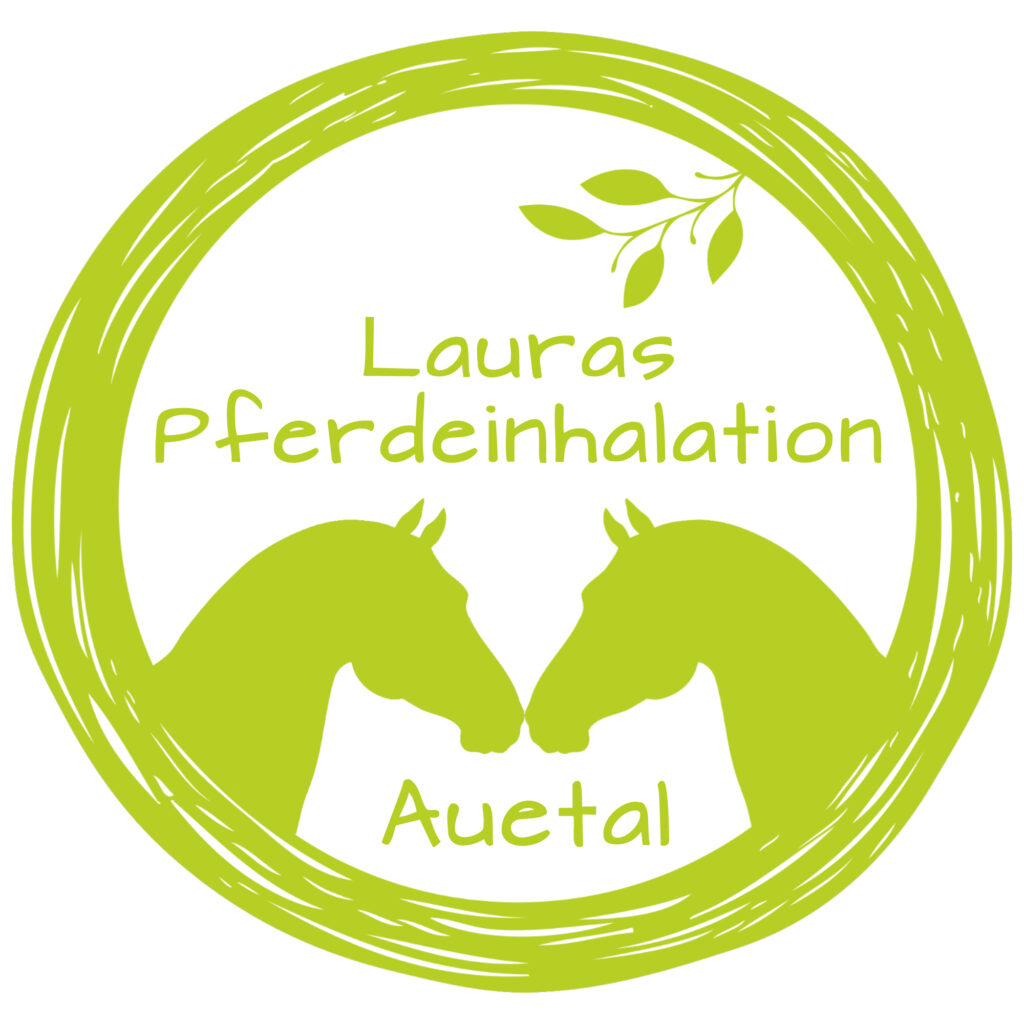 Lauras Pferdeinhalation Auetal
